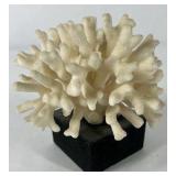 Natural White Coral Specimen Decorative Reef Coral on Black Base