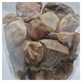 Mixed Natural Stone Rock Collection Jar Polished Rough Specimens Assorted
