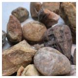Mixed Natural Stone Rock Collection Assorted Rough River Rocks Display Craft Lot
