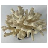 Natural White Coral Specimen Decorative Reef Coral on Black Base