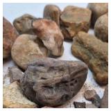 Mixed Natural Stone Rock Collection Assorted Rough River Rocks Display Craft Lot