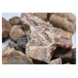 Mixed Natural Stone Rock Collection Assorted Rough River Rocks Display Craft Lot