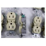 Assorted NEMA 5-15R Duplex Receptacles (Lot of 24)