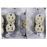 Assorted NEMA 5-15R Duplex Receptacles (Lot of 24)
