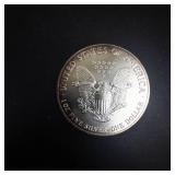 1992 American Eagle