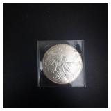 2019 American Eagle