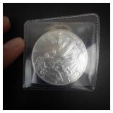 2019 American Eagle