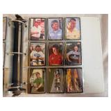 1992 Black Maxx NASCAR Trading Card Complete Set in Binder 300 Cards
