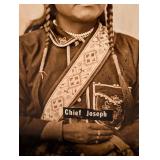 D. F. Barry Chief Joseph Photograph - 95/150