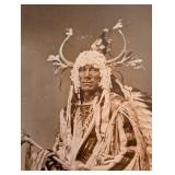 D. F. Barry War Eagle (Wanmdi Kicizapi) Plate 34, 95/150 - Framed