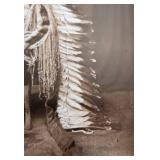 D. F. Barry War Eagle (Wanmdi Kicizapi) Plate 34, 95/150 - Framed