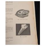 Vintage Northwest Coast Indian Art - Seattle World's Fair 1962 Exhibit Catalog (Erna Gunther)