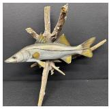 Snook Mounted Fish - 22-Inch Display