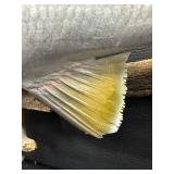 Snook Mounted Fish - 22-Inch Display