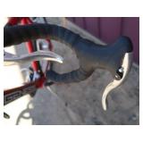 GENIESIS PRO  ROAD TECH 700C 10 SPEED (ALMOST LIKE NEW)