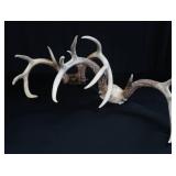 2 SETS OF DEER ANTLERS