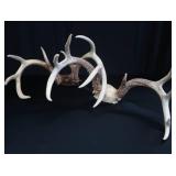 2 SETS OF DEER ANTLERS
