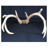 2 SETS OF DEER ANTLERS