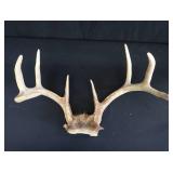 2 SETS OF DEER ANTLERS