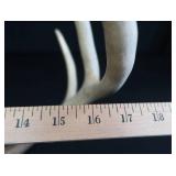 2 SETS OF DEER ANTLERS