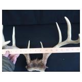 2 SETS OF DEER ANTLERS