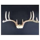 2 SETS OF DEER ANTLERS