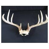 2 SETS OF DEER ANTLERS