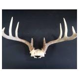 2 SETS OF DEER ANTLERS