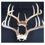 2 SETS OF DEER ANTLERS