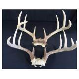 2 SETS OF DEER ANTLERS