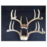 2 SETS OF DEER ANTLERS