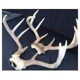 2 SETS OF DEER ANTLERS