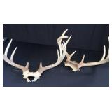 2 SETS OF DEER ANTLERS