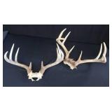 2 SETS OF DEER ANTLERS