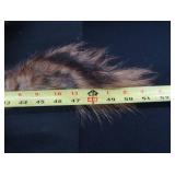 FOX PELT & TRAPS