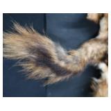 FOX PELT & TRAPS