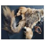 FOX PELT & TRAPS