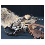 FOX PELT & TRAPS