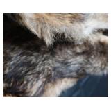 FOX PELT & TRAPS