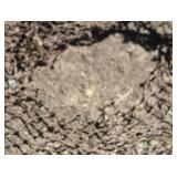VINTAGE FISHING HOOP NET
