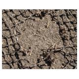 VINTAGE FISHING HOOP NET