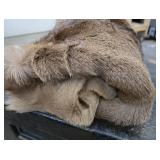 DEER HIDE