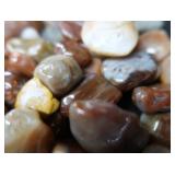 LARGE LOT OF POLISHED AGATES