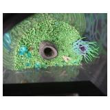 FISH TANK / TERRARIUM