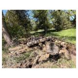 XXL Firewood (3)