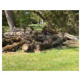 XXL Firewood (3)