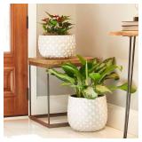 Pineapple Planter 14 qt Resin White (4 pack)