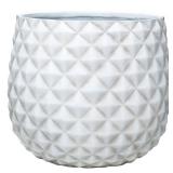 Pineapple Planter 14 qt Resin White (4 pack)