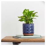 Griffy Small 2 qt Blue Ceramic Pot (Pack of 4)