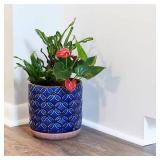 Griffy Small 2 qt Blue Ceramic Pot (Pack of 4)